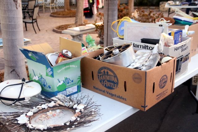 Gulf to Bay Carnival - January 2017 - Slide 6