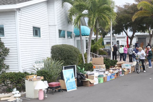 Gulf to Bay Carnival - January 2017 - Slide 17